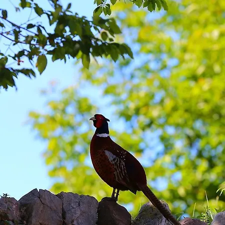 Corte Valesana Апарт-отель